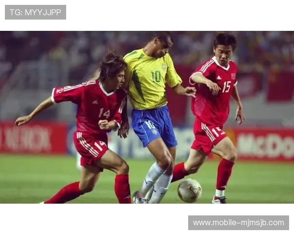 我的世界杯：分享我对足球的热爱与那些属于我的世界杯记忆