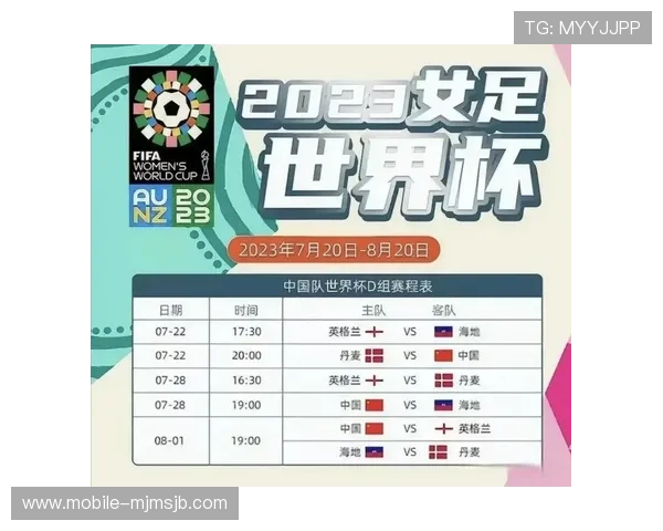 2023年世界杯强队排名最新榜单，深入分析各队实力差距与未来发展方向