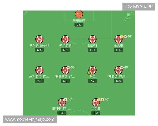 2026年世界杯预选赛阿根廷队晋级之路详细指南与战术分析