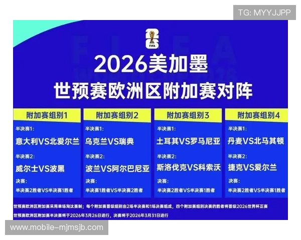 2026年世界杯举办地点的环境和基础设施建设情况分析