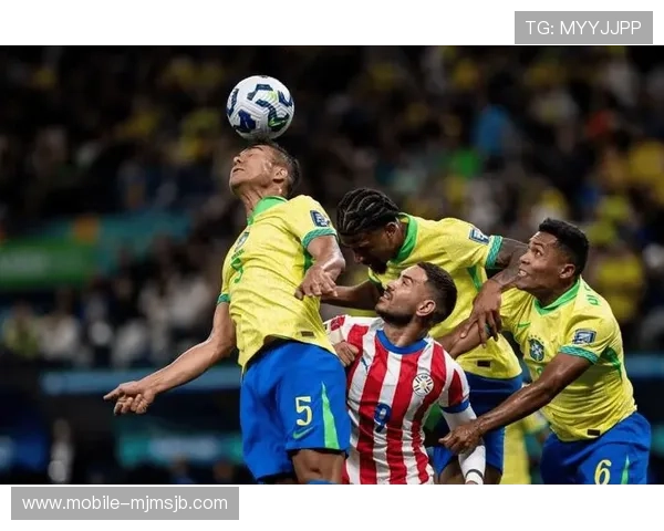 2026年世界杯南美区积分榜更新,哪些球队有望晋级决赛圈