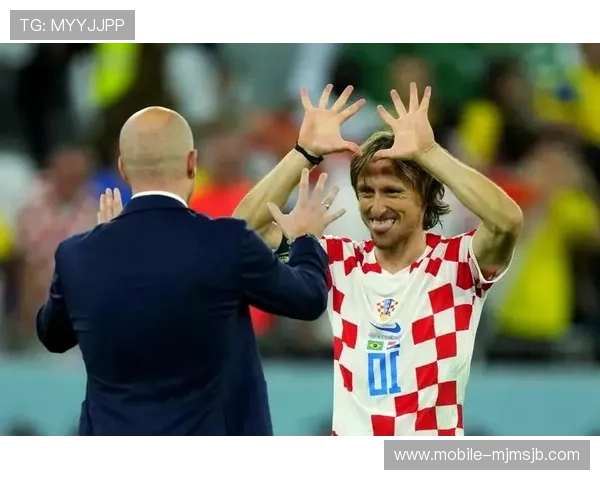 世界杯巴西被谁淘汰了详细解析,带你了解比赛过程中的关键转折点