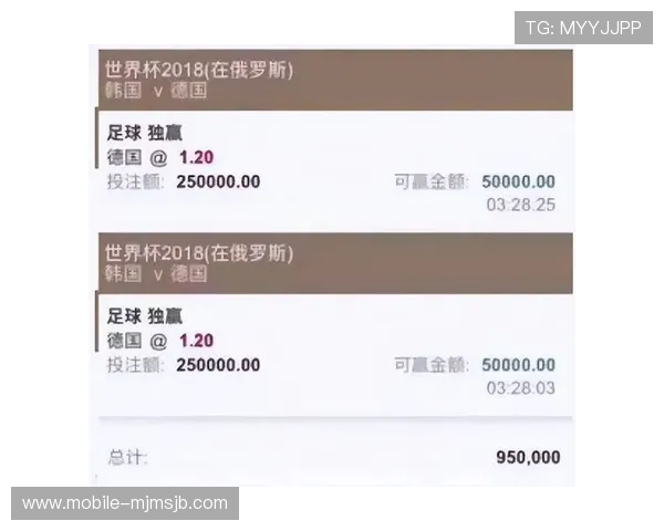 欧洲杯买球正规平台排名与评测，帮助用户找到最值得信赖的投注网站