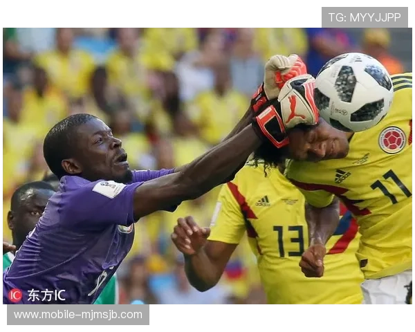 足球世界杯图片大全高清大图欣赏，带你领略每一场精彩比赛瞬间