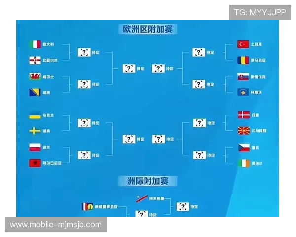 详细介绍世界杯决赛圈的参赛国家名单及其晋级路径和历史战绩